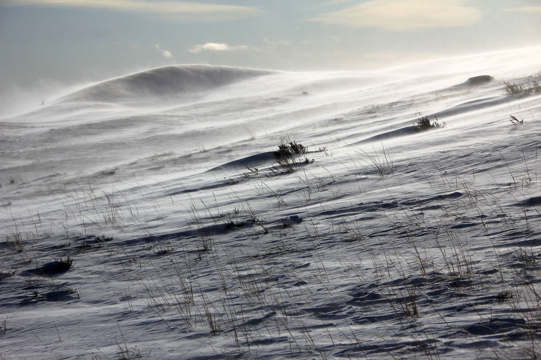 High Country Chroniques